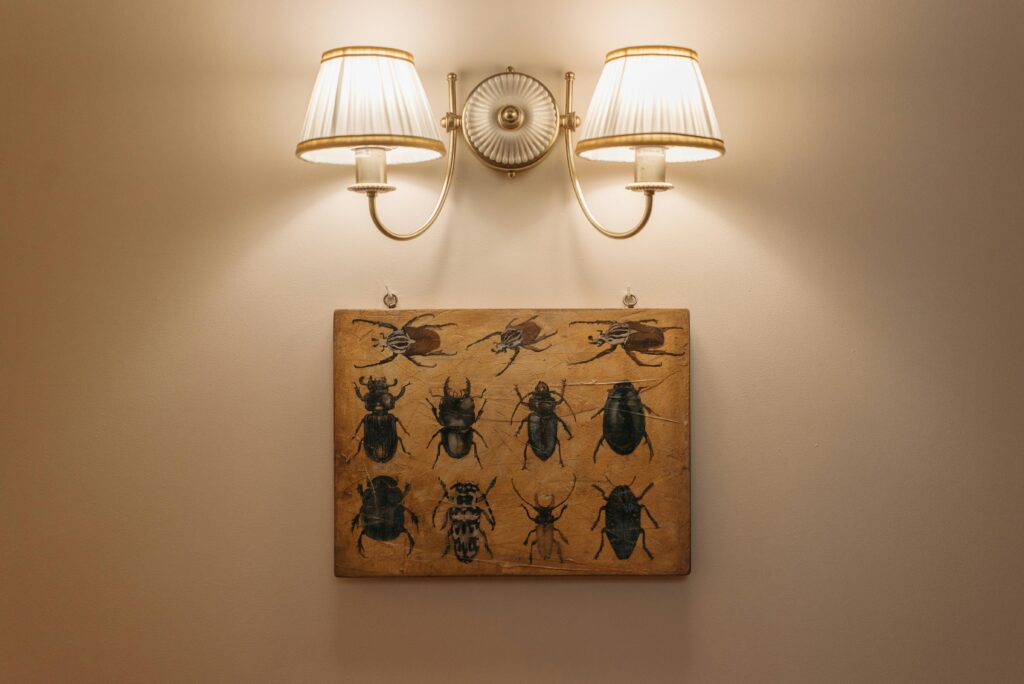 A vintage insect illustration displayed under a classic double lamp, perfect for interior décor inspiration.