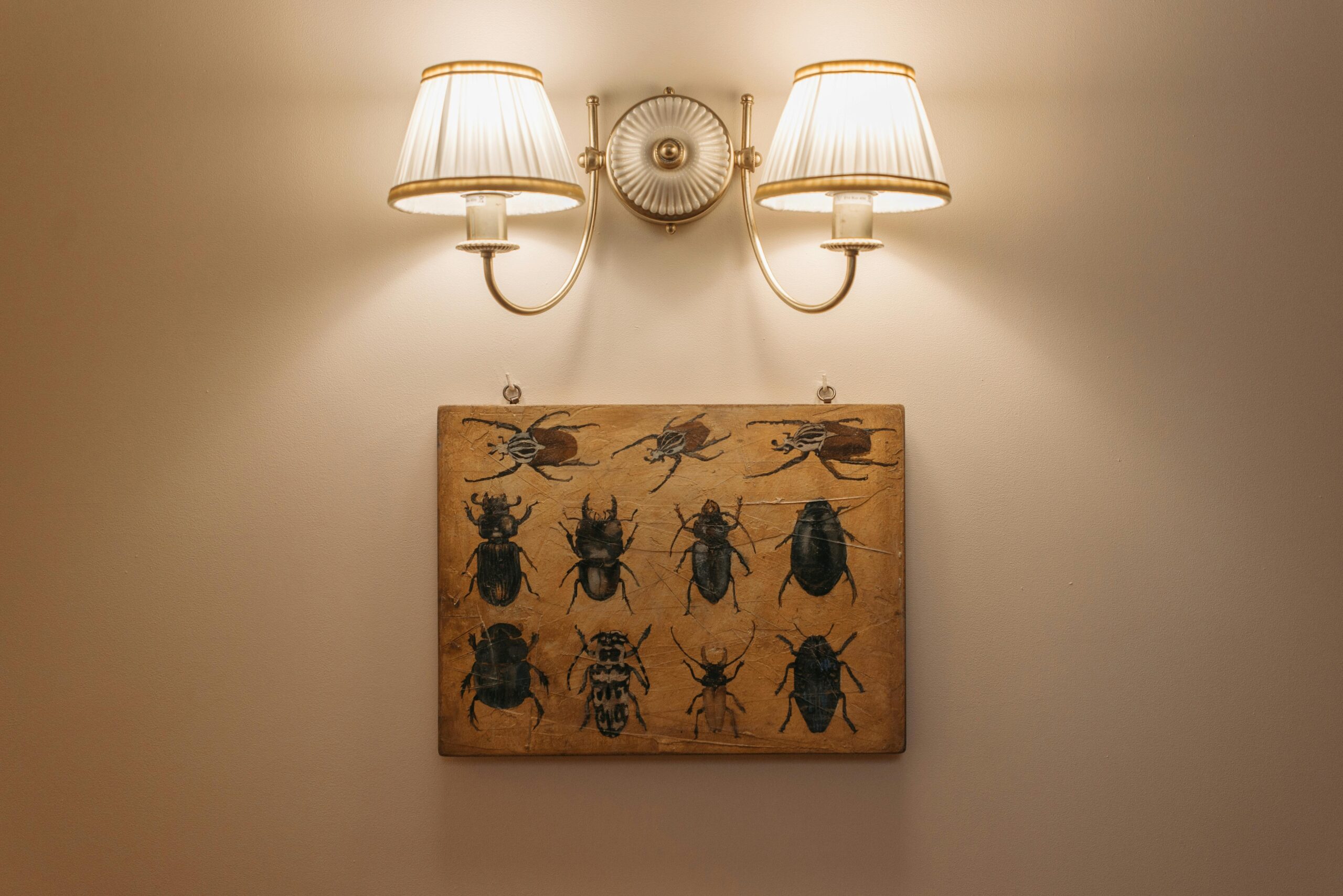 A vintage insect illustration displayed under a classic double lamp, perfect for interior décor inspiration.